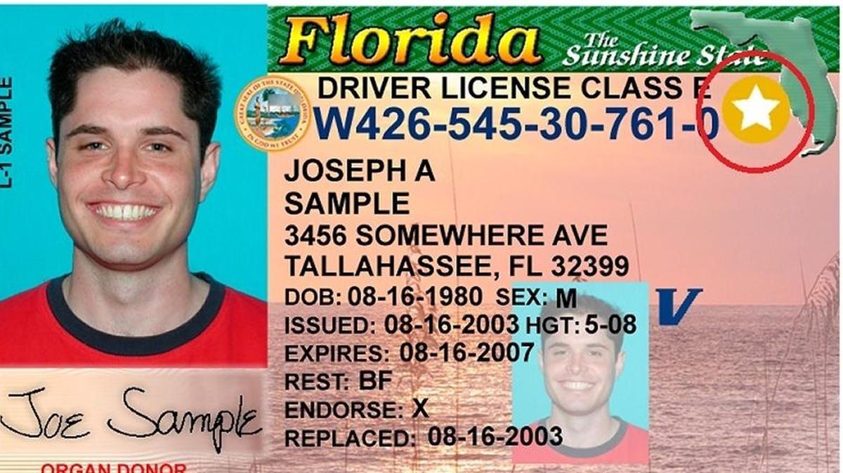 Prototipo de la licencia de conducir de la Florida
