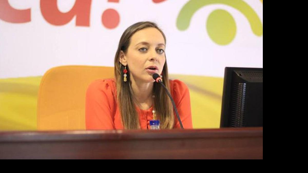 
“La diáspora colombiana está regada por todo el mundo. A uno solo se le hace casi imposible responder a sus necesidades”, dijo la representante Ana Paola Agudelo, en entrevista con el Nuevo Herald. 
