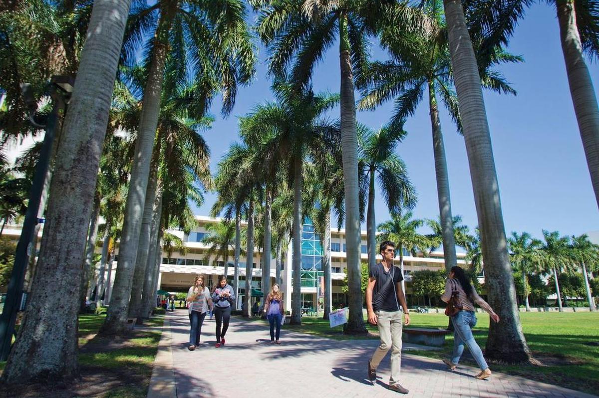 Estudiantes pasean por el campus de la Universidad de Miami, localizada en Coral Gables.