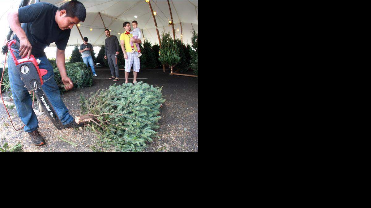 
Pedro Arroyo recorta las ramas bajas del árbol que compró José Cespedez, quien carga a Franki Fernández, de 2 años; en la carpa de la 49 calle y la 16 avenida del oeste, en Hialeah, el sábado.

