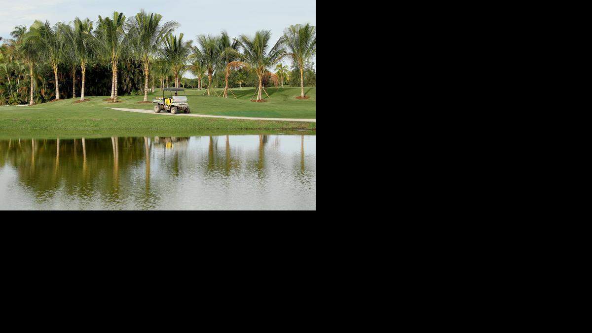 
Los jardineros se trasladan por el recién cambiado campo de golf que ahora tiene muchas más Arecas en los alrededores.


