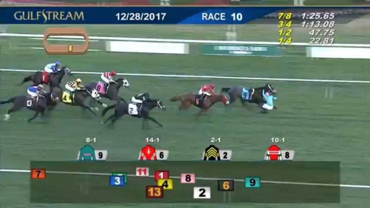 Una persona que apostó a los caballos se perdió un jugoso premio cuando el jinete se cayó del caballo en la décima carrera del día en el hipódromo Gulfstream Park en Hallandale Beach, Florida, este jueves.