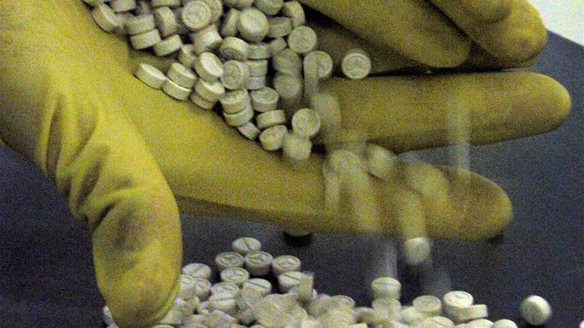 La demanda alegaba que nunca se realizaron pruebas a las pastillas ni se personó una unidad canina K-9 para determinar si se trataba de drogas.