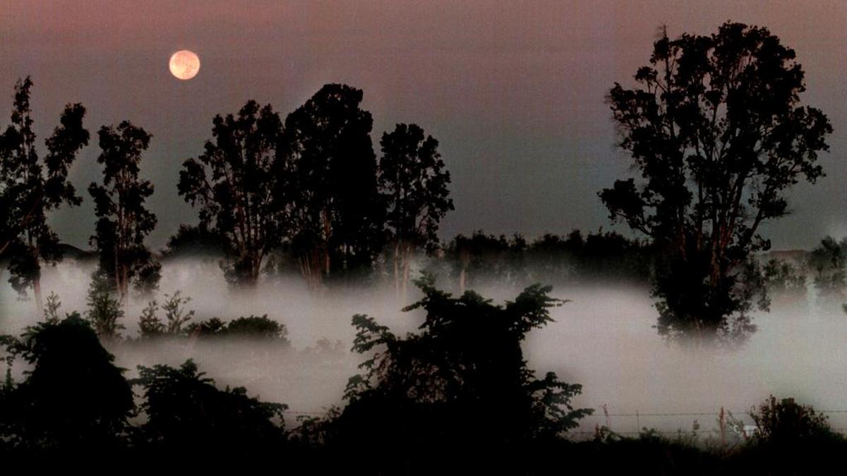 Por primera vez en 40 años, se verá una luna llena en el sur de la Florida esta Navidad.
