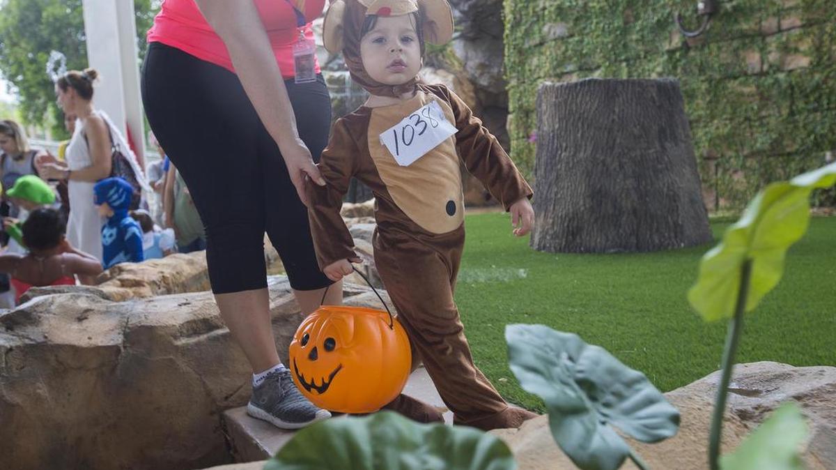 Brandon Diaz, de 2 años, celebra Halloween en el zoológico de Miami este sábado 28 de octubre de 2017.