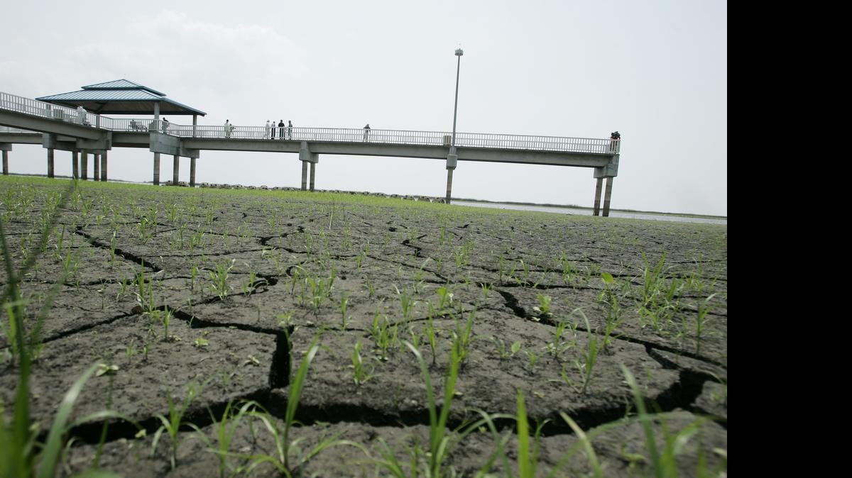 
La extrema sequía que afecto el sur de la Florida en el 2007 hizo que el nivel del agua en el Lago Okeechobee bajara más de 10 pies.

