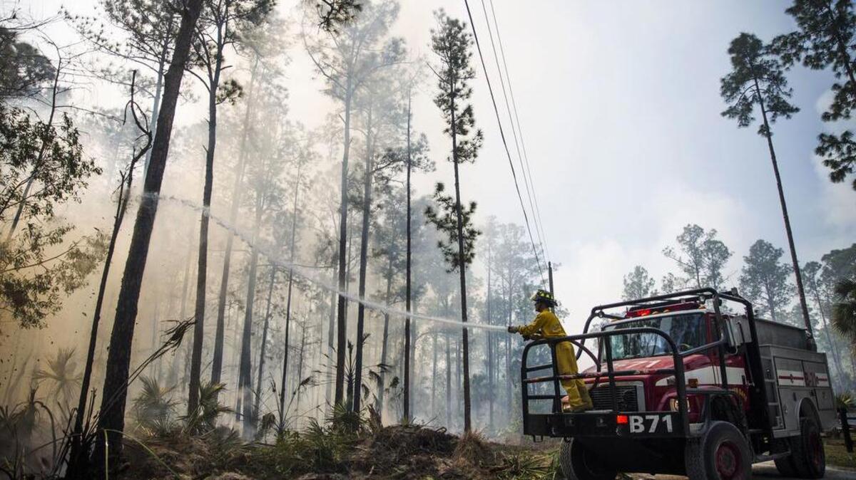 En esta foto del martes, 7 de marzo de 2017, un fuego forestal arde en la calle de Belle Meade Ranch en Naples, Florida.