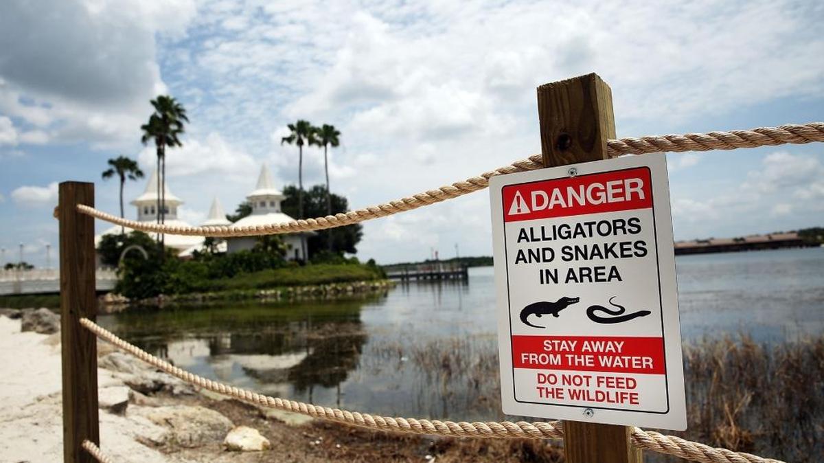 Un cartel advirtiendo de la presencia de caimanes y serpientes fue instalado recientemente en una sección de una playa, luego de la muerte de un menor en aguas de un hotel de Walt Disney World, en junio pasado.