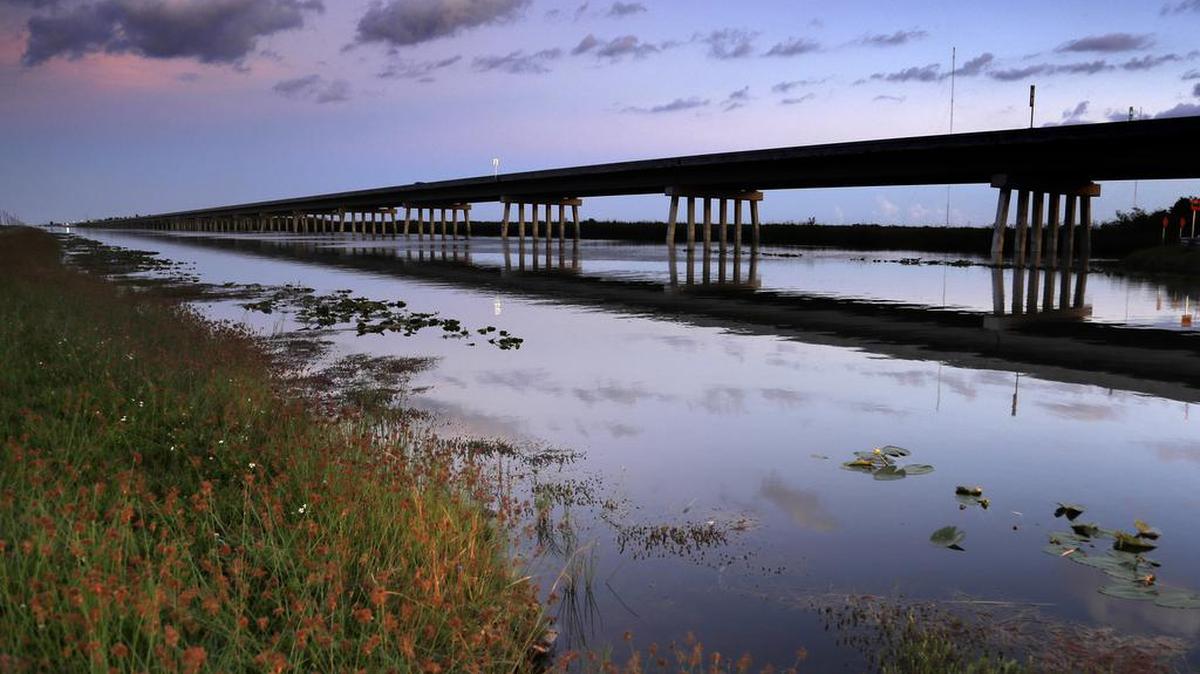 This Oct. 22, 2019 photo shows a raised portion of the Tamiami Trail, a key Everglades Restoration project. The 2.6-mile bridge, along with another 1-mile span, has helped move more water into Everglades National Park.