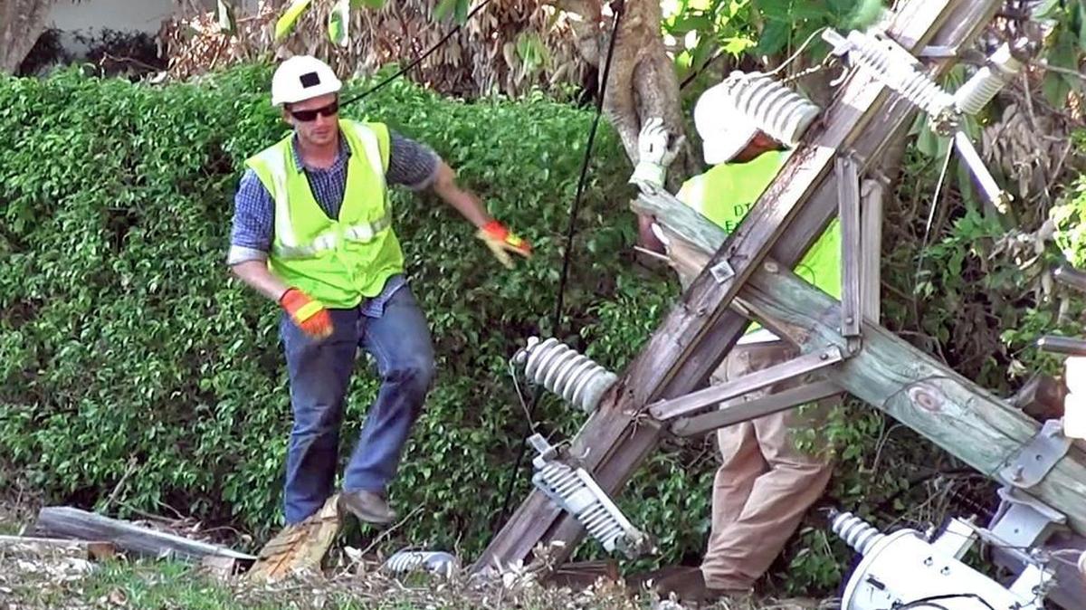 Trabajadores de fuera del estado trabajan en la reparación de líneas de electricidad derribadas por los árboles en Coral Gables el sábado 16 de septiembre del 2017.