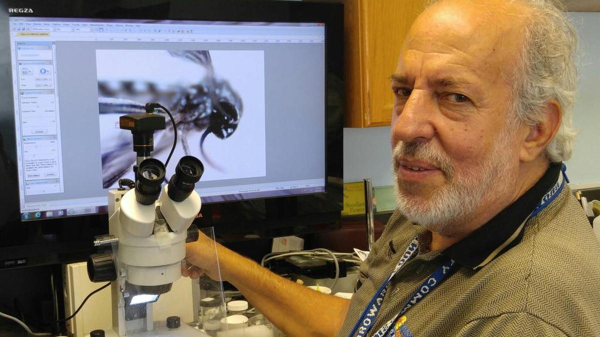 El biólogo Evaristo Miquieli de la oficina de Control de Mosquito del condado de Broward, en Pembroke Pines, posa tras observar a un Aedes Aegypti en un microscopio.