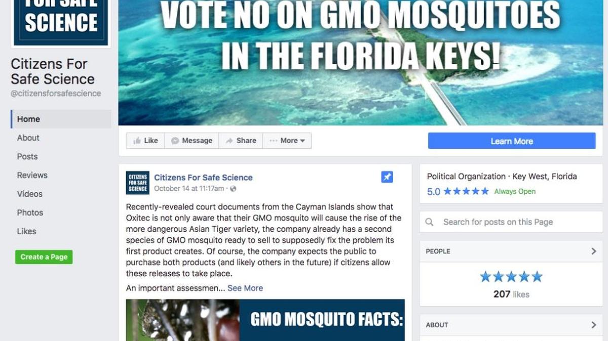 Página de Citizens for Safe Science, el grupo de Cayo Hueso que se opone a la introducción de mosquitos geneticamente modificados.
