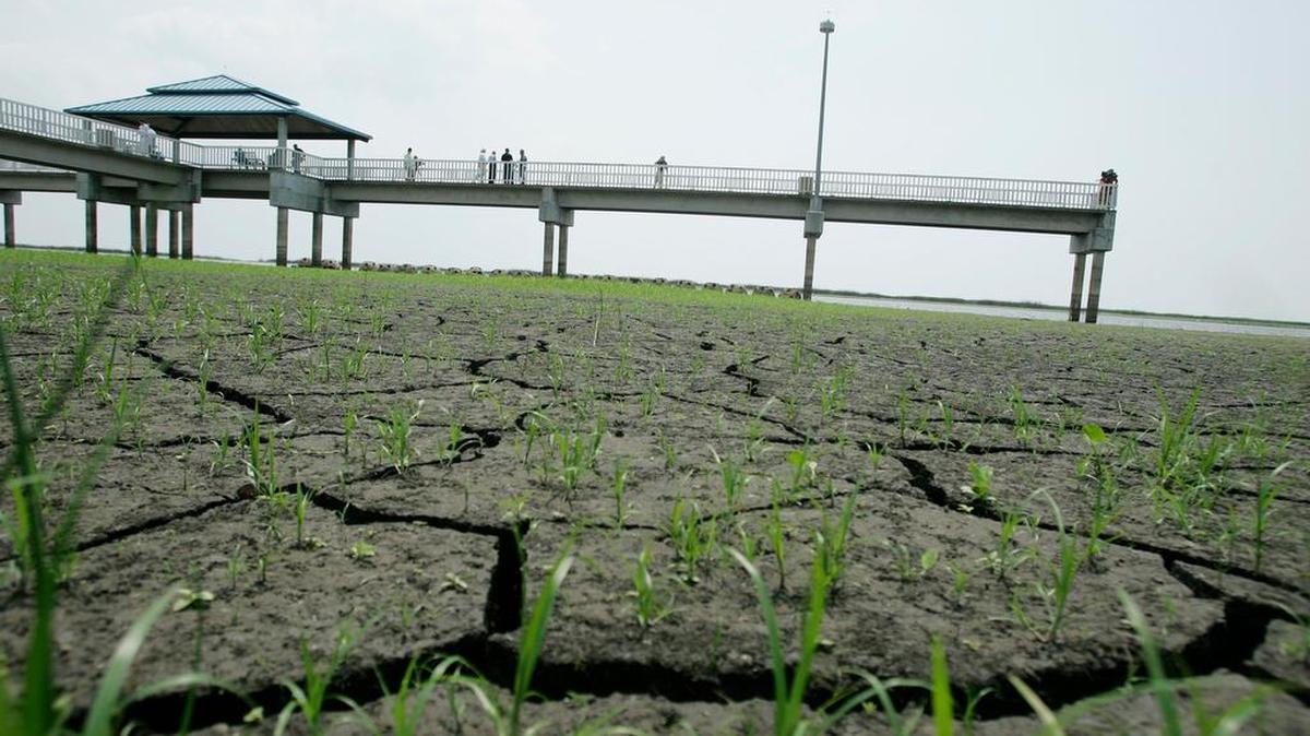 El Departamento para el Control de Aguas del Sur de Florida indicó en que, ante la “caída de los niveles de agua y las condiciones extremadamente secas”, se ha emitido una advertencia. Foto de archivo.