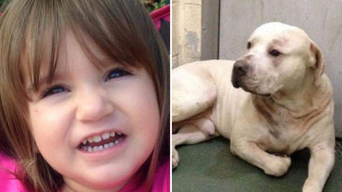 Nyjah Espinosa murió el domingo tras ser atacada por un perro cuando visitaba la casa de su padre.