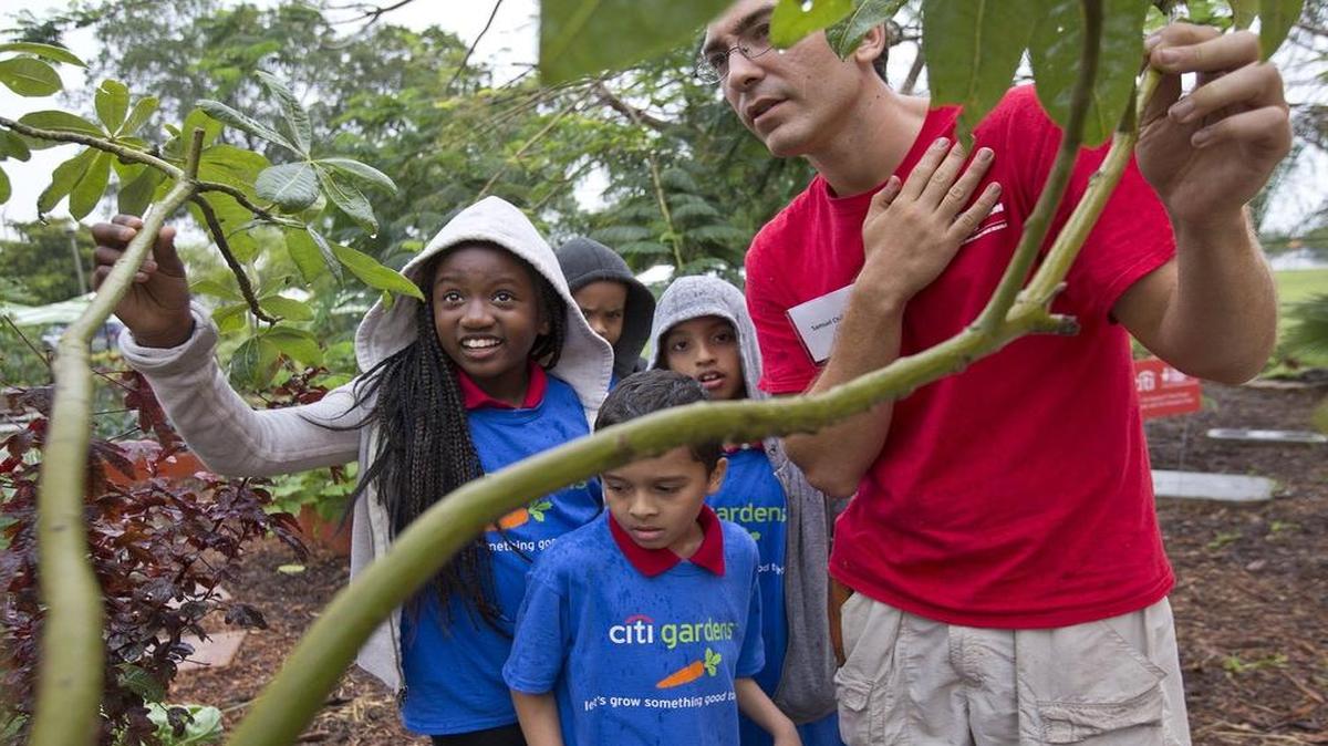 
Samuel Chillaron, del Education Fund, comparte técnicas de jardinería con Tanyiah Jones (izq.), Carlos Contreras y Ronnield Luna al recorrer el ‘bosque comestible’ de la escuela primaria Kelsey Pharr Elementary.
