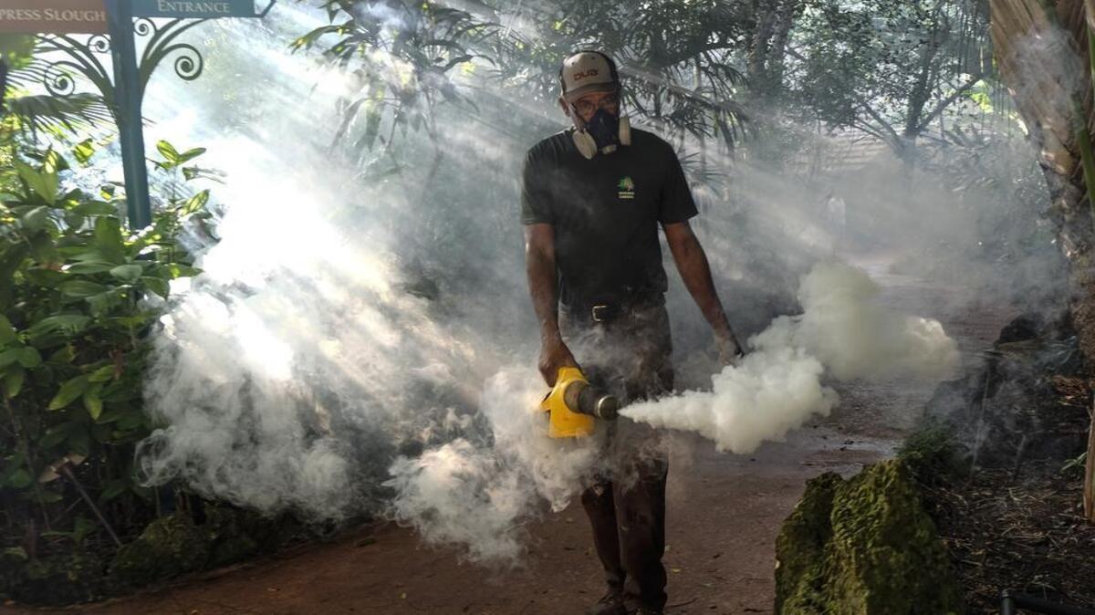 Fran Middlebrooks esparce un pesticida para matar mosquitos en Miami.
