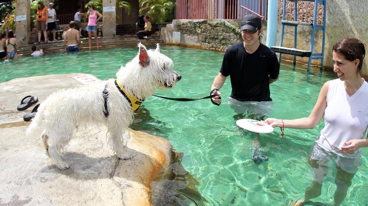 Los dueños juegan con su mascota en la Venetian Pool de Coral Gables en esta foto de archivo.