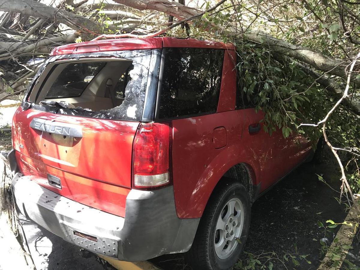 Un auto queda atrapado en un parqueo tras la caída de un árbol en Cutler Bay.