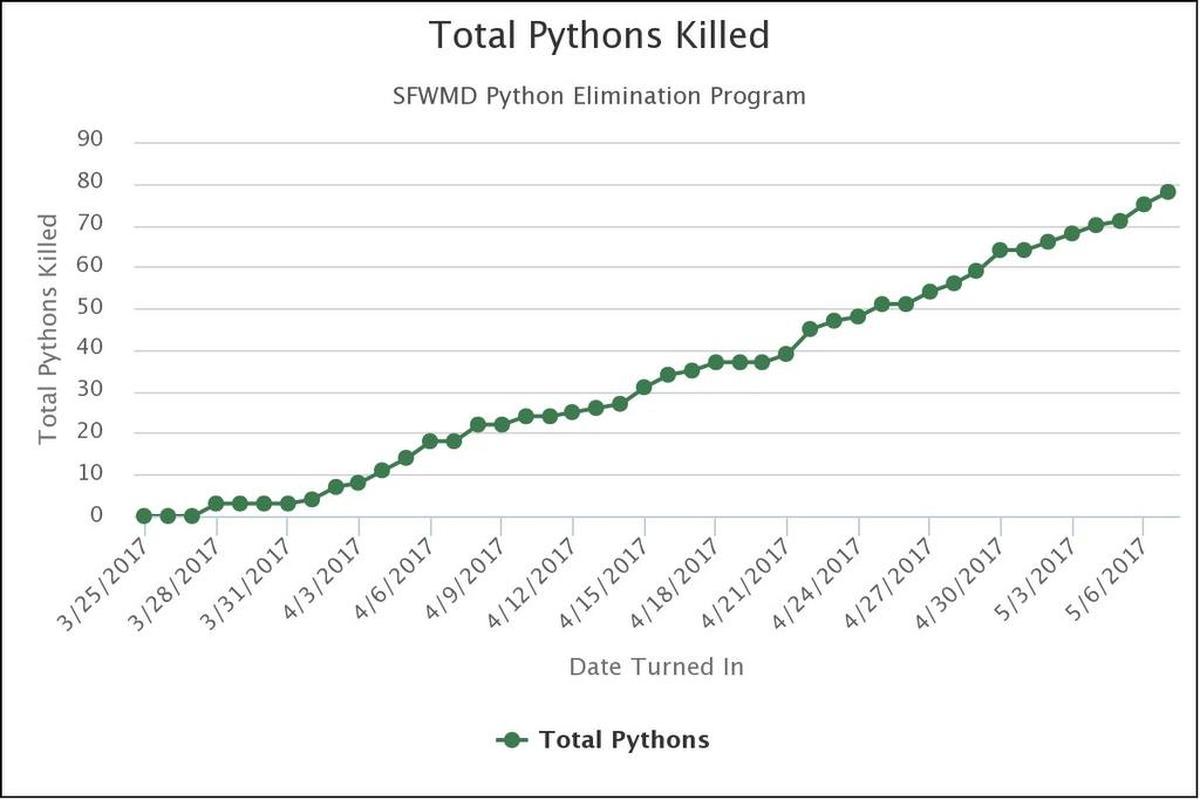 Gráfico con la cantidad de pitones capturadas durante la actual temporada de erradicación.
