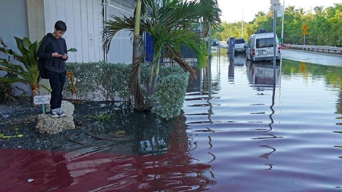 Alejandro Herrera, estudiante de séptimo grado en la escuela secundaria Nautilus en Miami Beach, espera el autobús de la escuela frente a su condominio en Indian Creek Drive durante la marea alta, en Miami Beach.