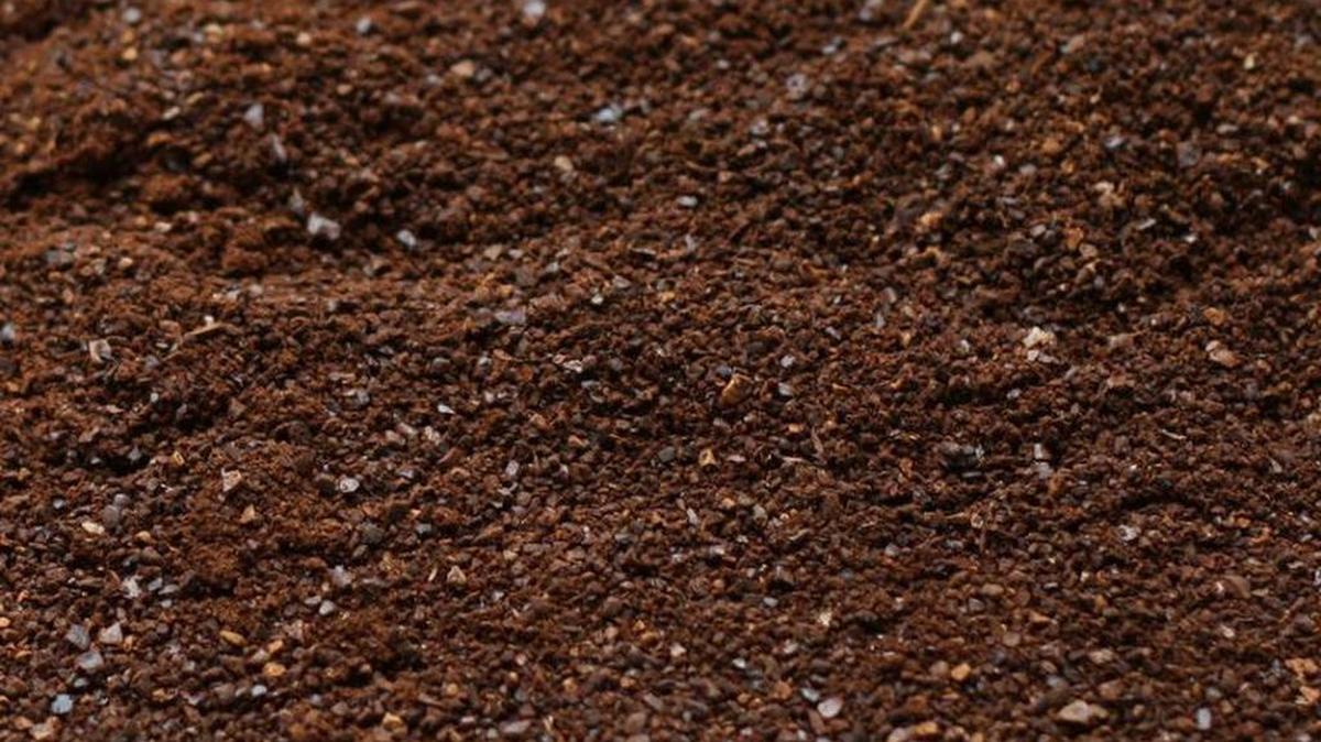
Tras una inspección física del contenido, investigadores de Miami notaron varios grumos que luego dieron positivo por cocaína.
