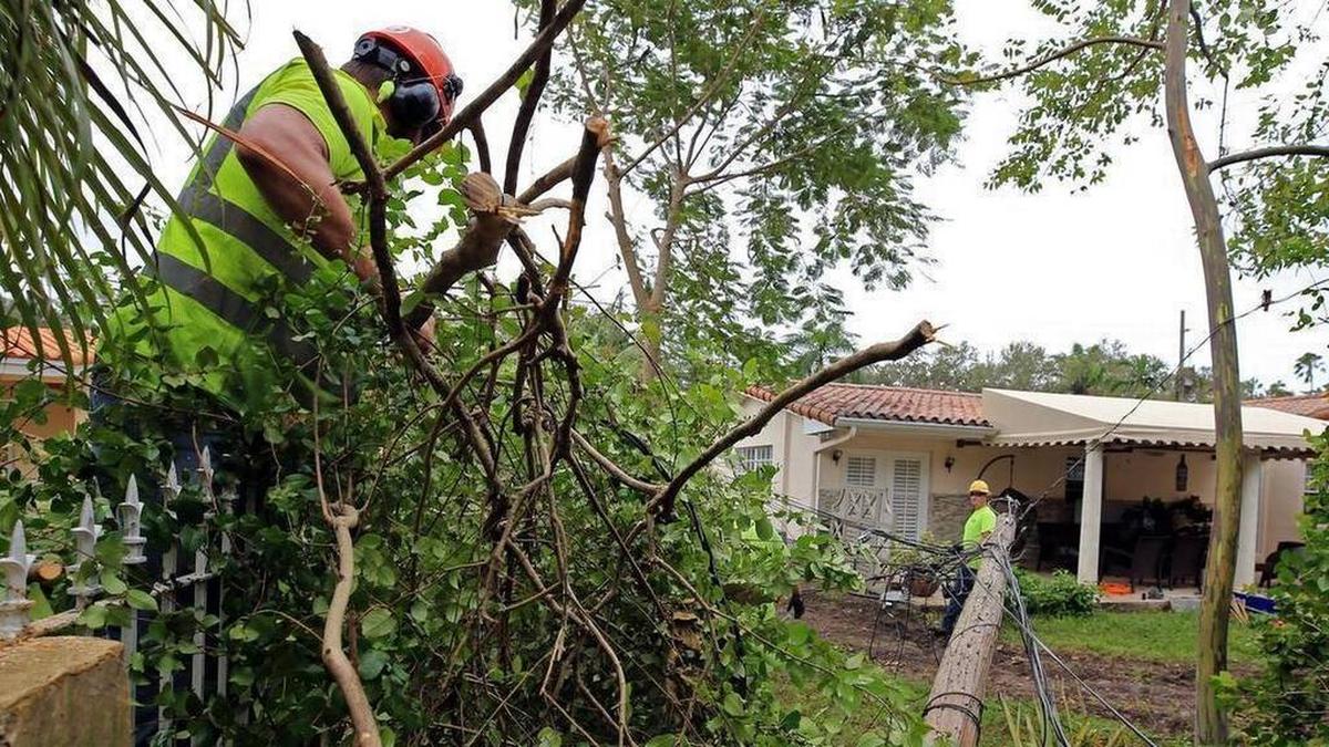 Una semana después del paso de Irma, trabajadores de otros estados tratan de reanudar el servicio eléctrico en Coral Gables.