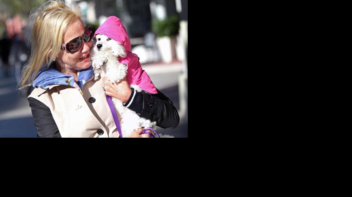 Una ola de frío de 50 grados envuelve al sur de Florida el domingo 2 de noviembre. Karen Sergi lleva a su perra encapuchada llamada 'Princesa Malie' por Lincoln Road en Miami Beach.
