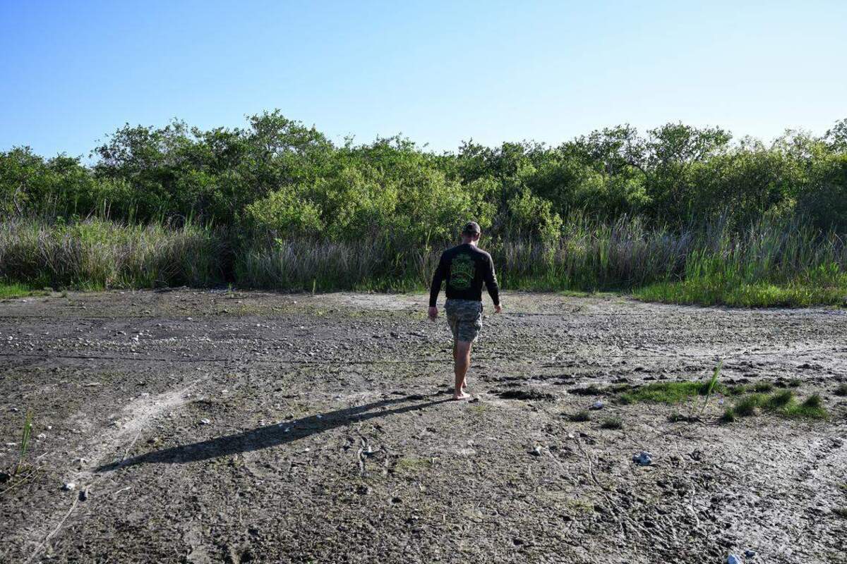 Marshall Jones, propietario de Mack’s Fish Camp, camina entre plantas de humedales afectadas por la sequía en el Parque Nacional Everglades, en Pembroke Pines, Florida, el 16 de mayo de 2025. El Distrito de Administración del Agua del Sur de Florida emitió una Advertencia de Escasez de Agua para los condados Miami-Dade y Monroe el viernes 6 de febrero de 2026.