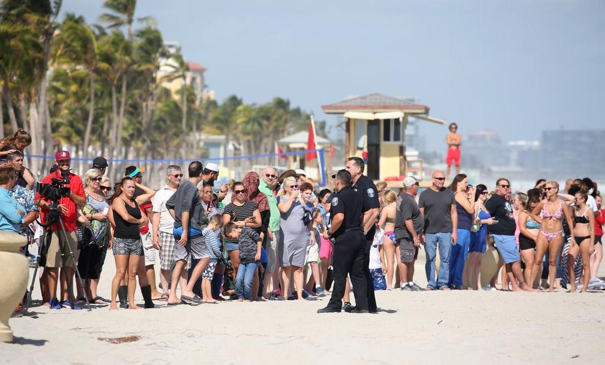 ¿Un cocodrilo en la playa? Hay que ver para creer, así que decenas de personas fueron a la playa de Hollywood para constatar la presencia de este visitante de seis pies de largo.