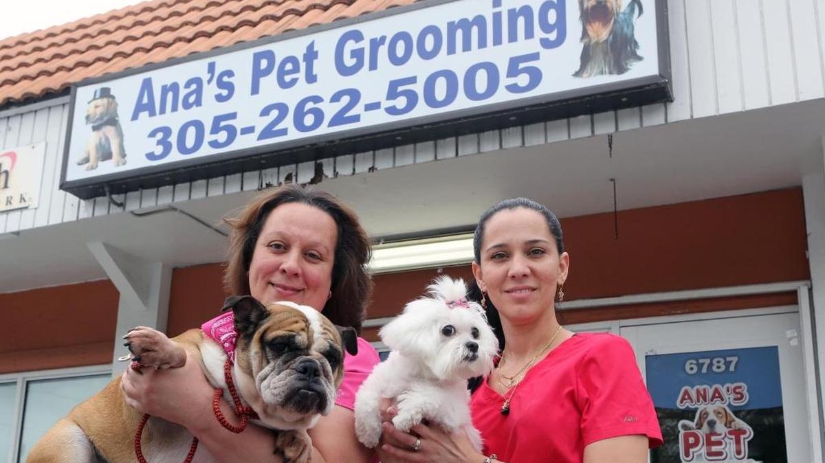 Ana Pena (izq.), dueña del negocio, Ana’s Pet Grooming, con una English Bulldog llamada "Nena" de 6 años, y Yadira Alonso, con la pequeña Lucita, una maltés hembra de 8 años.