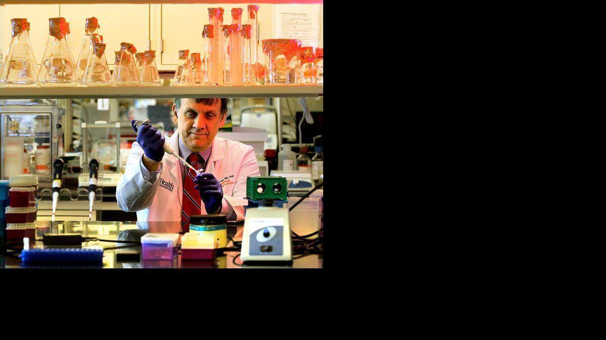 
Dr. Evangelos Badiavas, investigador en el Instituto interdisciplinario de células madre de la Escuela Miller de medicina de UM, en su laboratorio.


