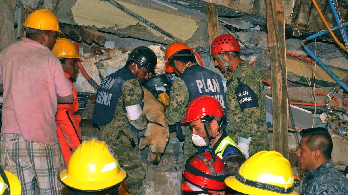 Integrantes de la Secretaria de Marina Armada de México (Semar) continuaban el 20 de septiembre de 2017, las labores del rescate, tras un sismo de magnitud 7.1 en la escala de Richter, que sacudió fuertemente la capital mexicana este martes.