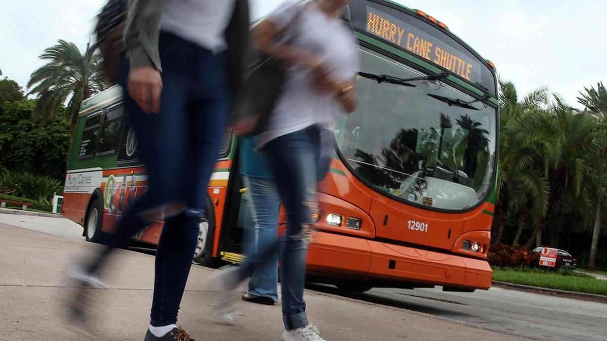 Dentro del campus, las personas pueden elegir su propio modo personal de transporte —tales como caminar, andar en bicicleta o en patinetas— o subir a bordo de un autobús de traslado conocido como Hurry Cane. El servicio de autobús Hurry Cane transporta unos 700,000 pasajeros cada año, dijeron funcionarios de UM.
