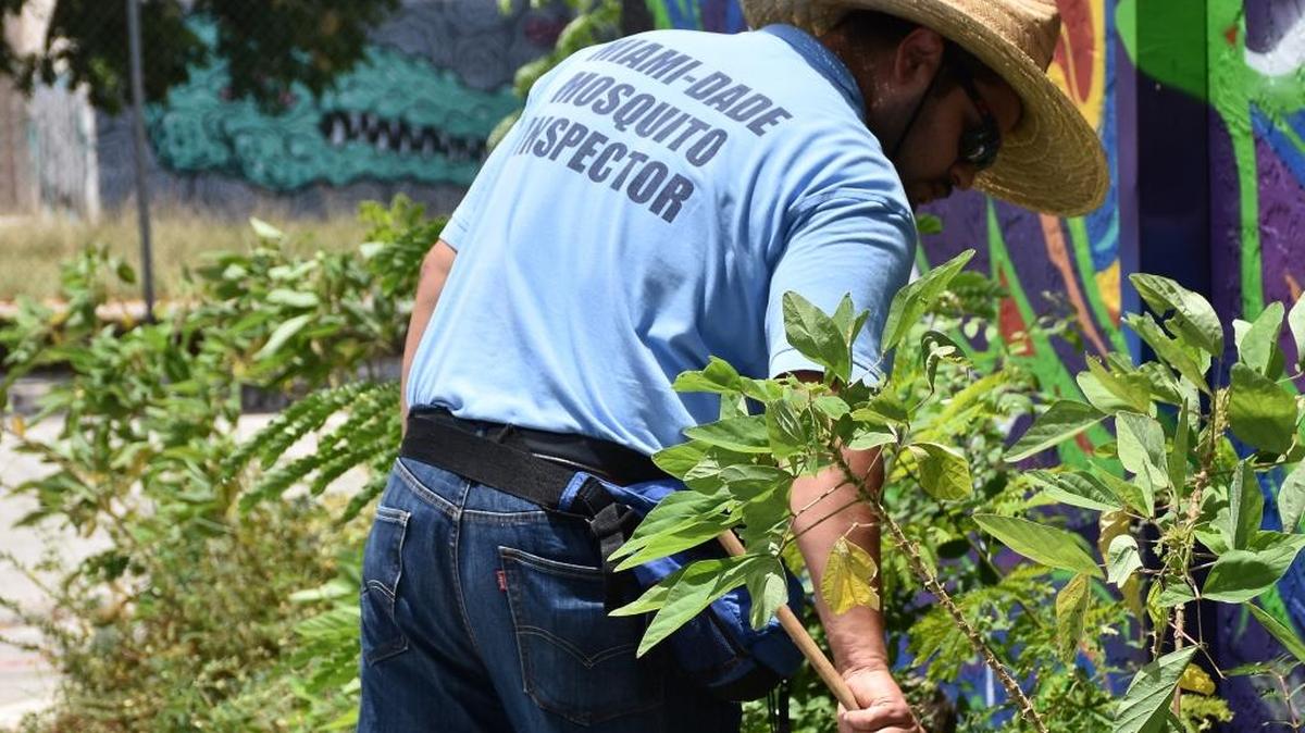 Un inspector del condado Miami-Dade busca agua estancada este martes, en una calle del barrio artístico y contracultural de Wynwood, en el centro urbano de Miami.