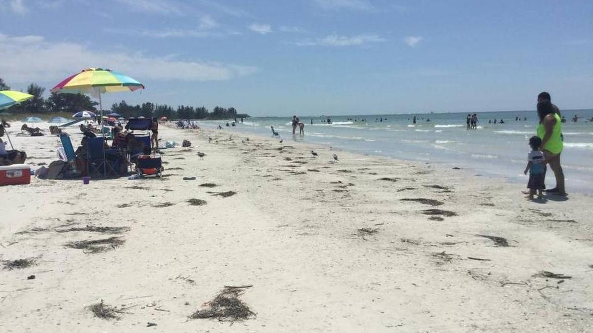 El cadáver de un hombre fue encontrado el domingo en la mañana en Coquina Beach en Brandenton Beach, al oeste de Florida.