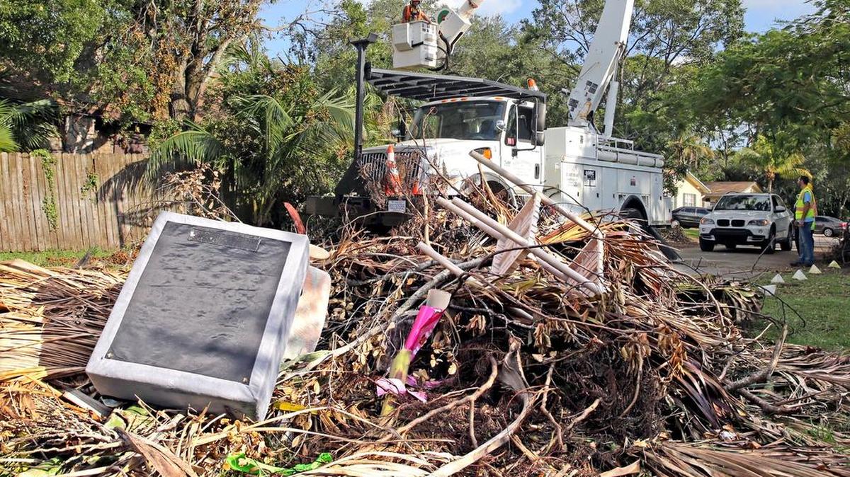 Cuadrillas trabajan el lunes en Fort Lauderdale para remover las ramas de árboles dañados por el huracán Irma.