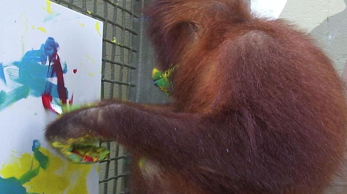 Imagen de archivo sin fecha del chimpancé popi pintando con una brocha. Las habilidades pictóricas de los simios podrán contemplarse y también comprarse a partir del próximo 21 de julio en una exposición en Miami que tiene como estrella a "Bubbles", el chimpancé del fallecido cantante Michael Jackson.