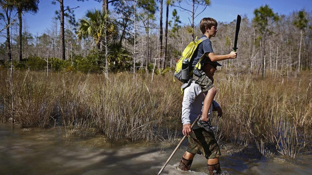 Sobre los hombros de su padre, este niño partiocipa en un esfuerzo de erradicación de especies exóticas en los Everglades el año pasado.