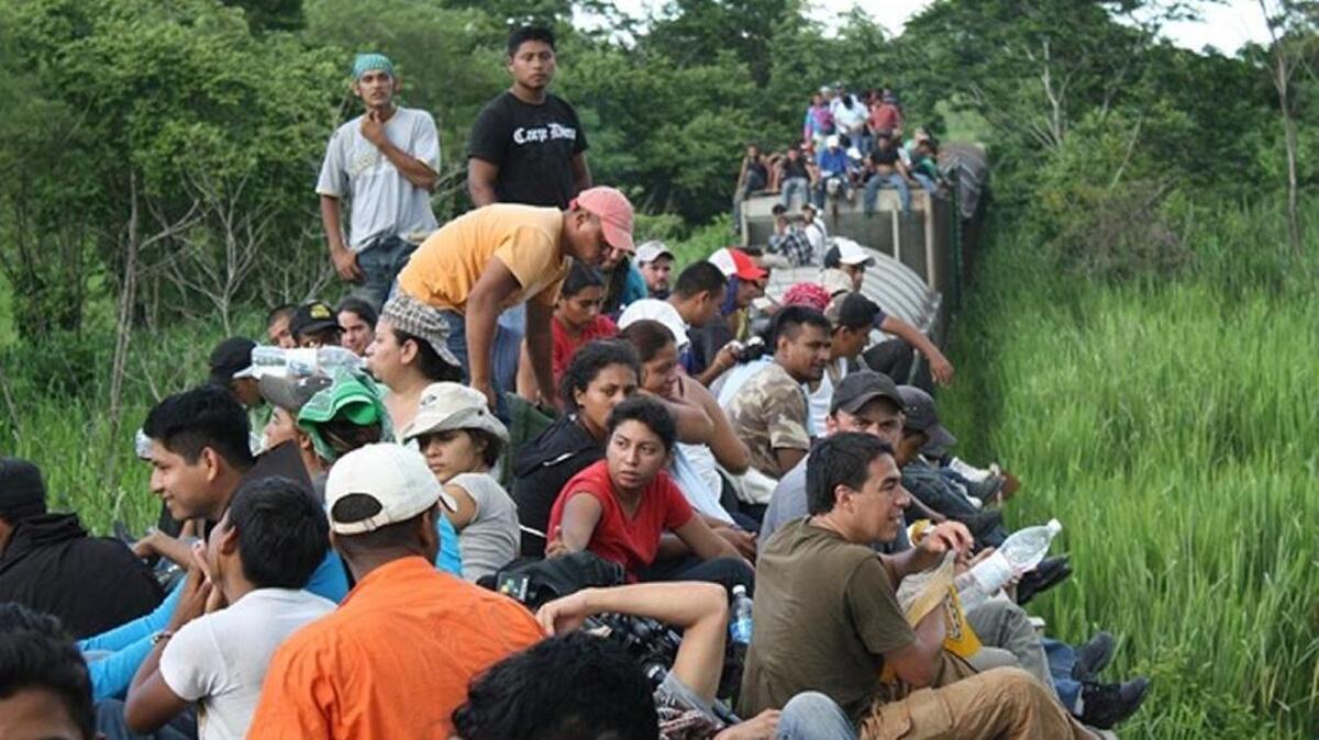 Cientos de migrantes viajan sobre “La Bestia” en pleno riesgo de sus vidas.