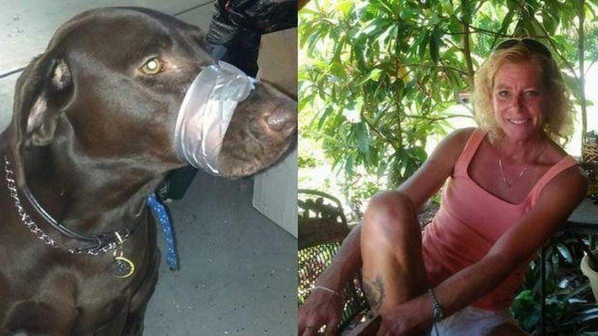 “La Policía de South Daytona es consciente de la inquietante foto publicada por Katie Brown con respecto al trato a un perro”, señaló el departamento de policía. Katharine F. Lemansky
