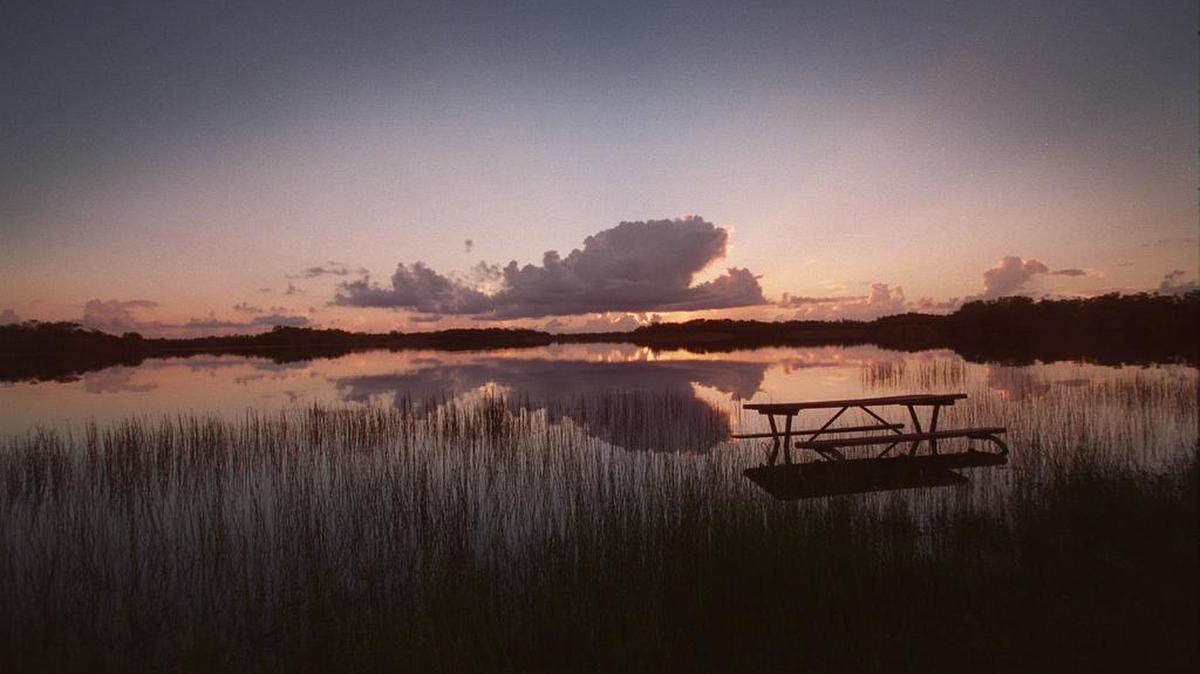 Una mesa de picnic en medio del agua en el parque nacional Los Everglades luego de las torrenciales lluvias que han causado un alto nivel de agua en el parque y alrededores.