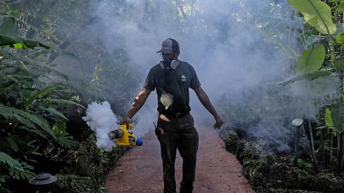 Fran Middlebrooks, un cuidador de los jardines en Pinecrest Gardens, antigua casa de la histórica Parrot Jungle, utiliza un ventilador para rociar pesticidas para matar mosquitos el 4 de agosto de 2016 en Miami.