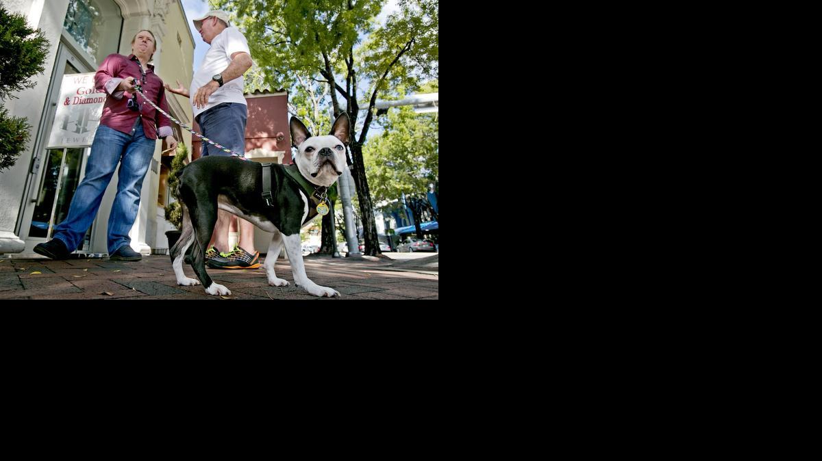 
H. Bredemeier, con su perrita Bella, habla frente a su joyería H&H con Jack King. Hay proyectos en desarrollo que transformarán el espíritu de Coconut Grove.
