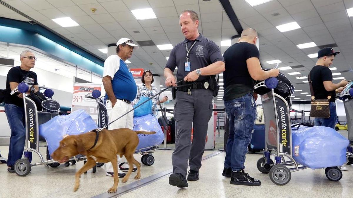 El oficial de policía de Miami-Dade, William Cook, Jr., y su perro Ringo patrullan el Aeropuerto Internacional de Miami el 30 de junio de 2016.
