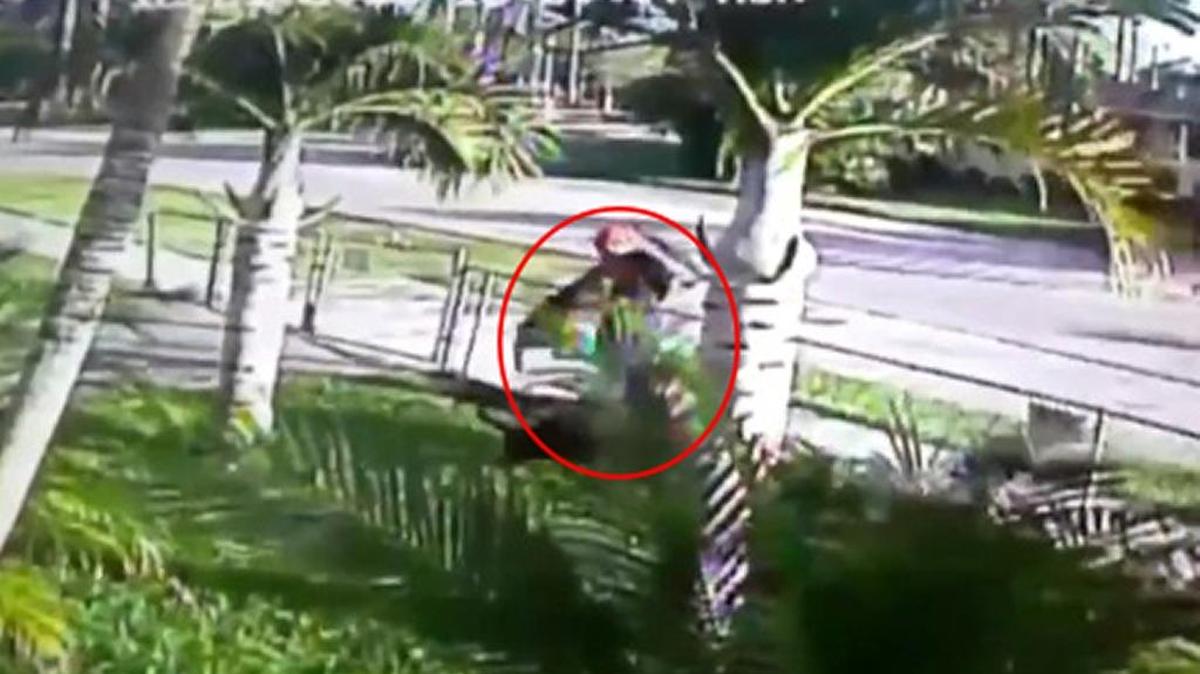 Un video de vigilancia muestra que el hombre se abalanzó sobre la valla y provocó a los perros momentos antes de que uno de los animales se le prendiera del cuello.