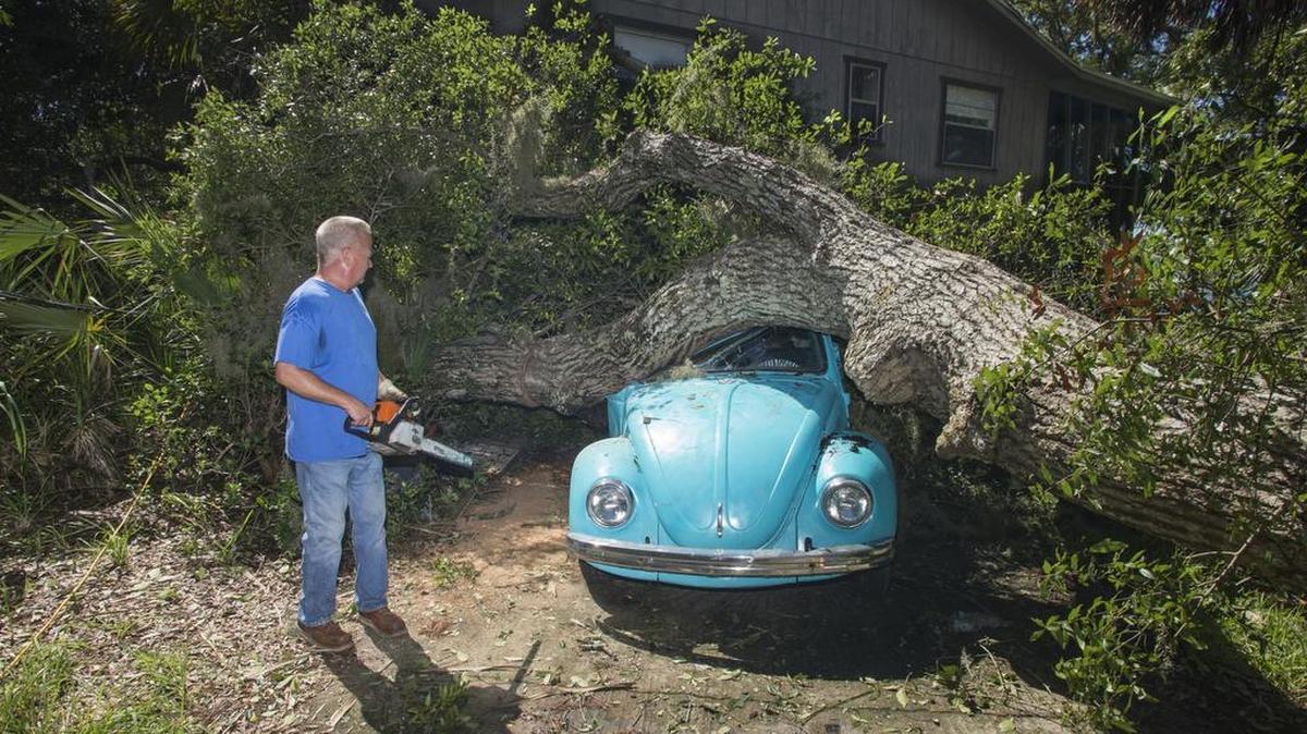 Tom Reams mira a un árbol que se desplomó sobre el Volkswagen Escarabajo de su hija por la tormenta del huracán Hermine en Alligator Point, Florida 2 de septiembre de 2016.