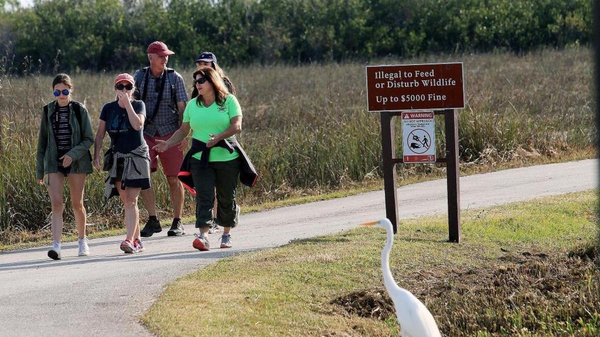 La guía del parque Stacy Wolfe conversa con un grupo de turistas de Australia el sábado en Shark Valley, en el Parque Nacional Los Everglades.