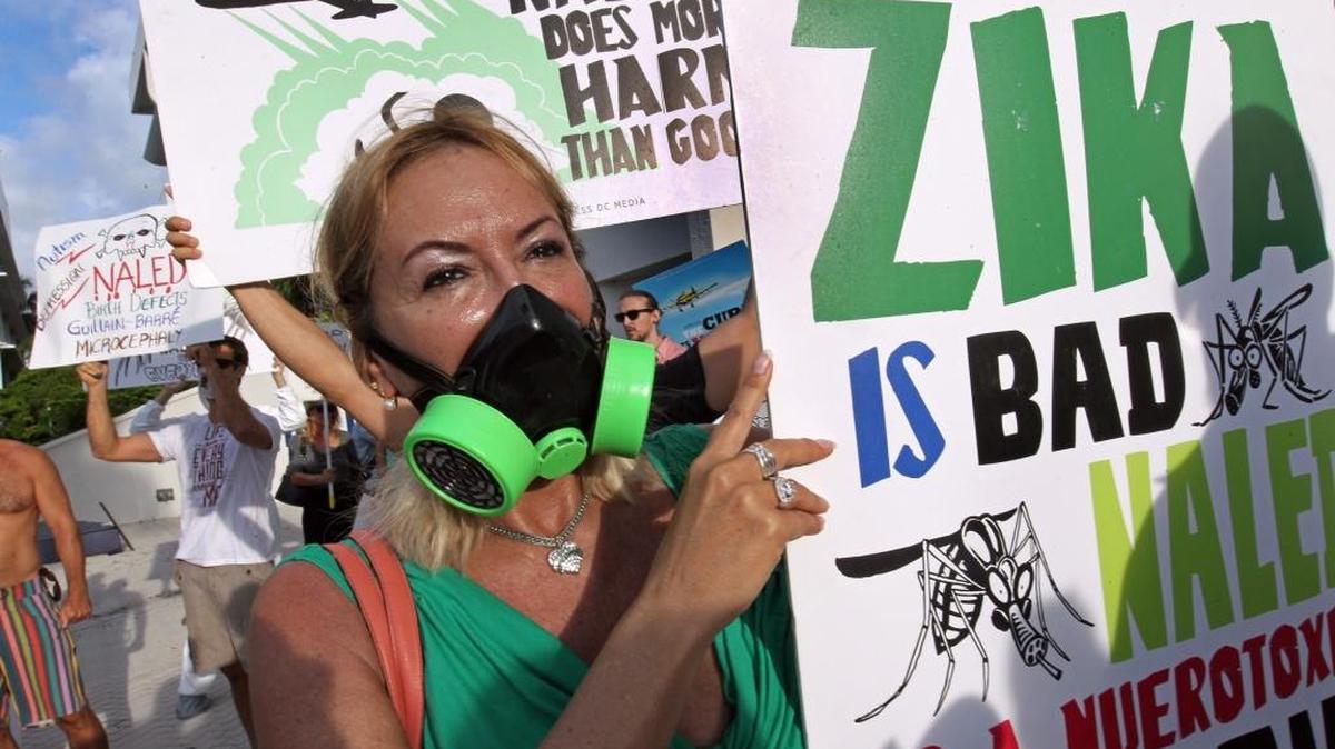 Foto de archivo. Cerca de 100 manifestantes protestaron el frente a la sede del gobierno de Miami Beach contra las fumigaciones al mosquito que transmite el virus de zika, el 14 de septiembre del 2016. 