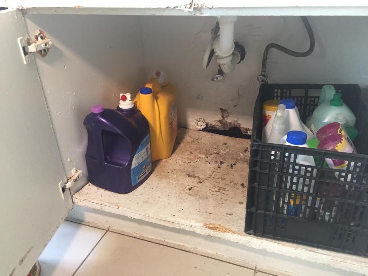 Al menos media docena de niños fueron llevados al hospital tras presuntamente ser mordidos por ratas, debido a las condiciones insalubres de un edificio ubicado en 946 SW 4 Street en La Pequeña Habana.