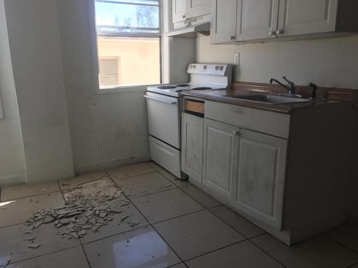 Al menos media docena de niños fueron llevados al hospital tras presuntamente ser mordidos por ratas, debido a las condiciones insalubres del edificio ubicado en 946 SW 4 Street en La Pequeña Habana.